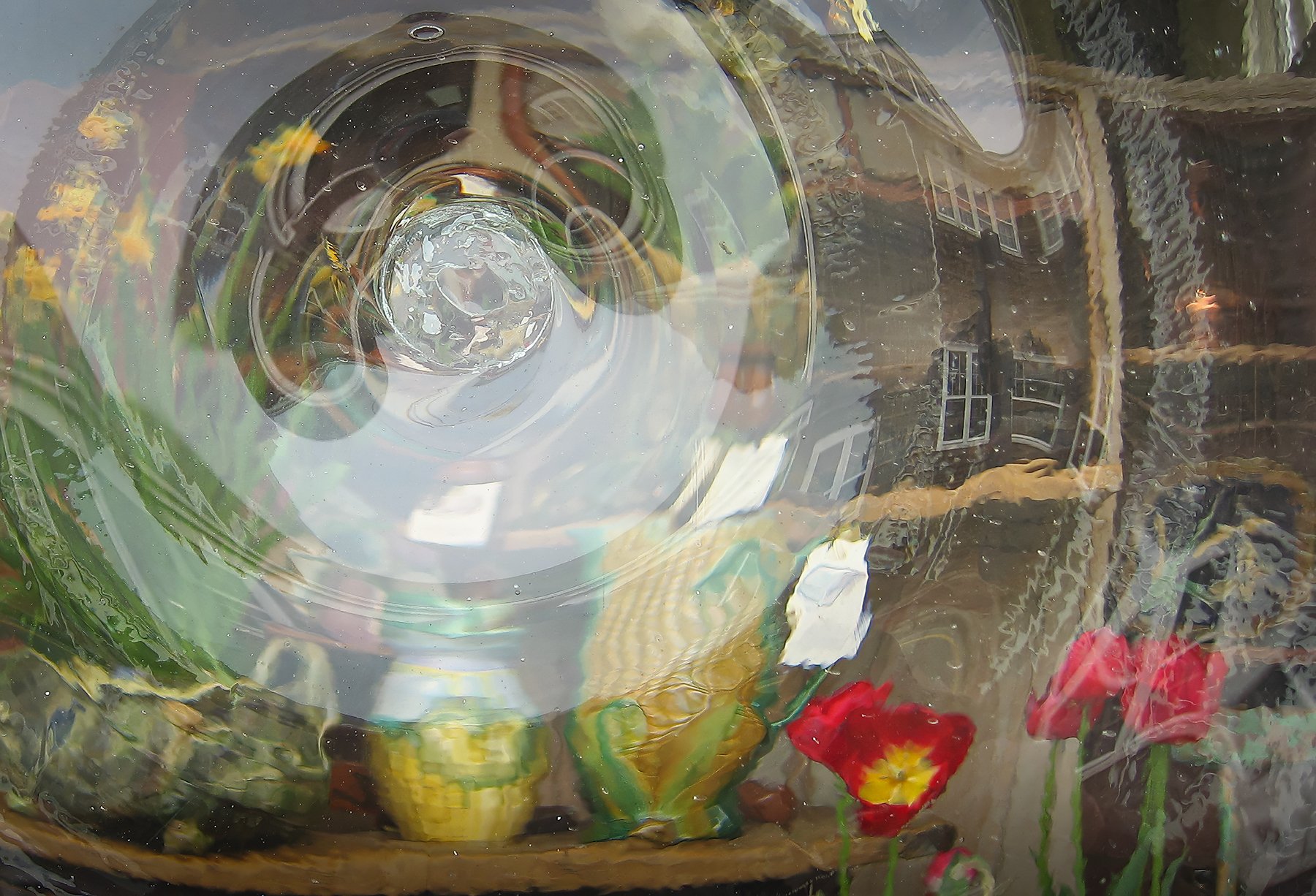 Shop window