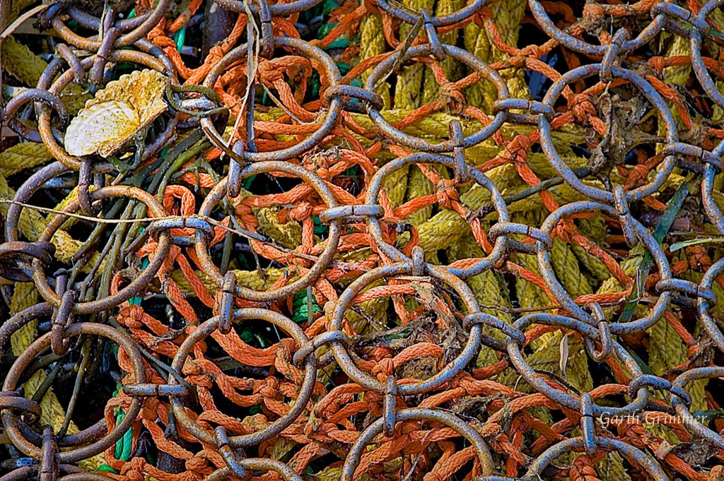 Scallop net
