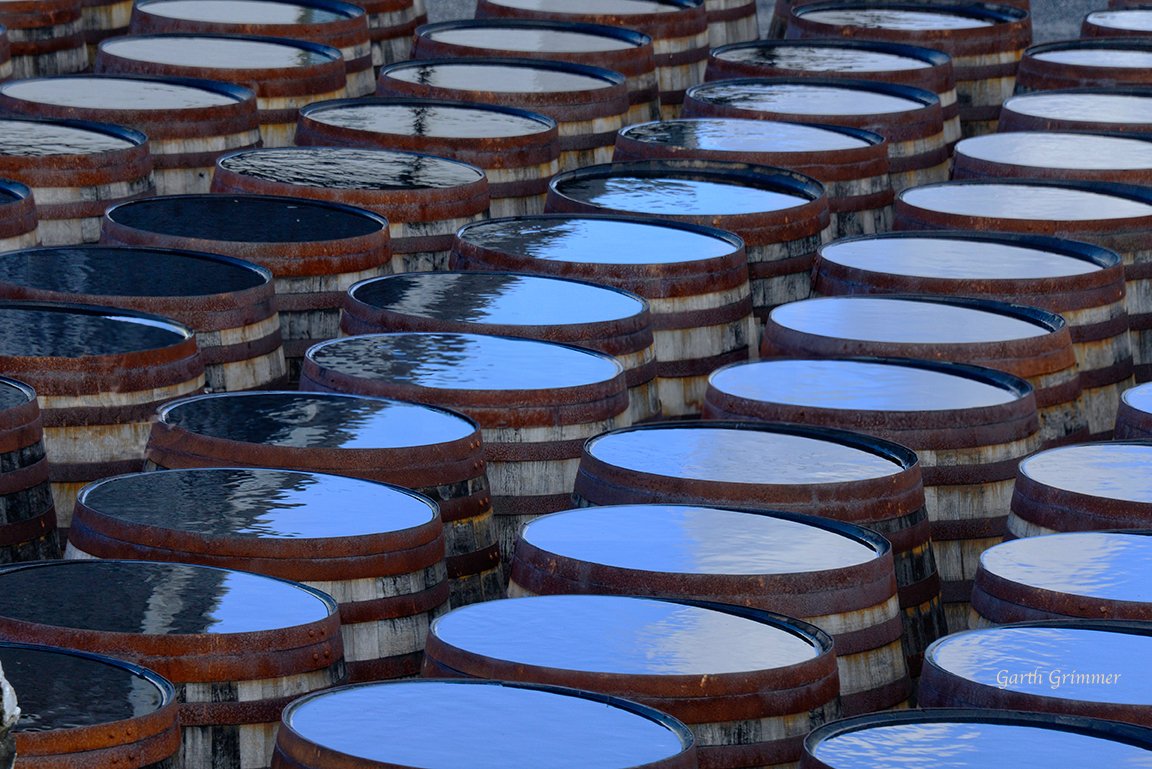 Scotch barrels out in the rain