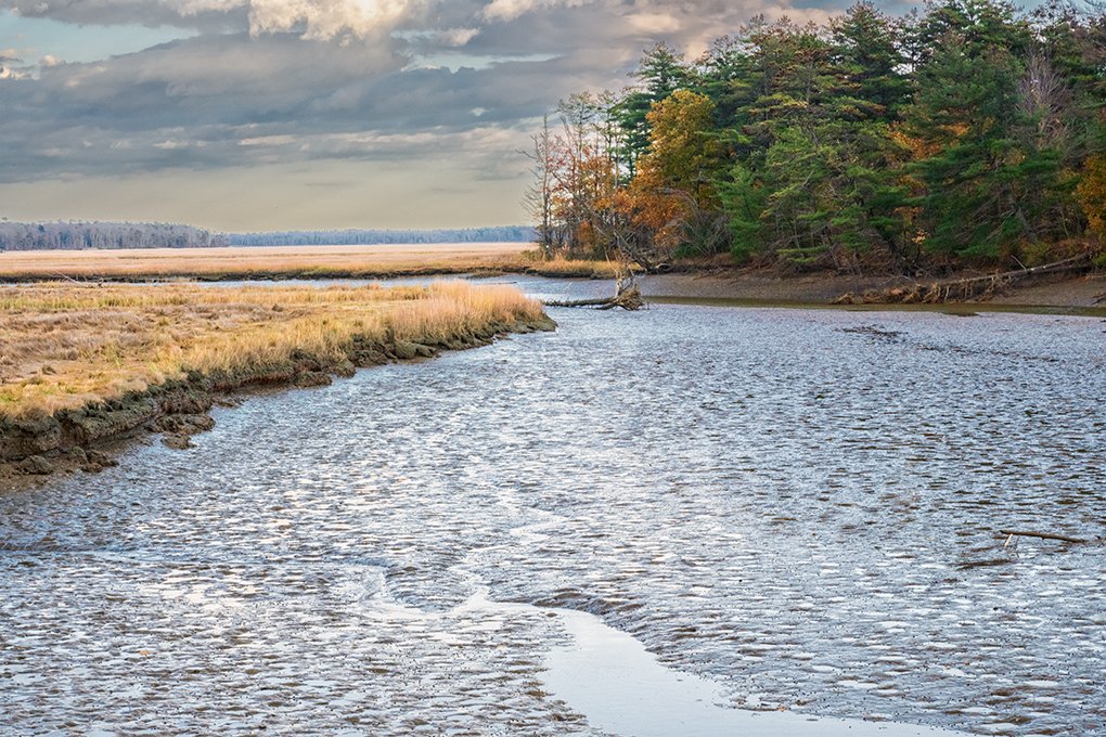 Scarborough Marsh low tide