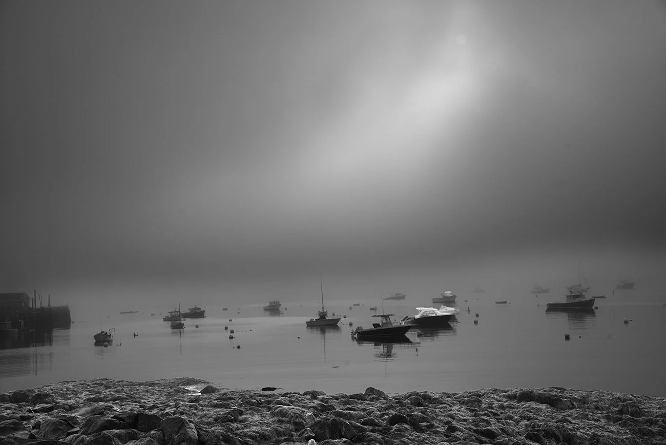 Fog Tenant Harbor