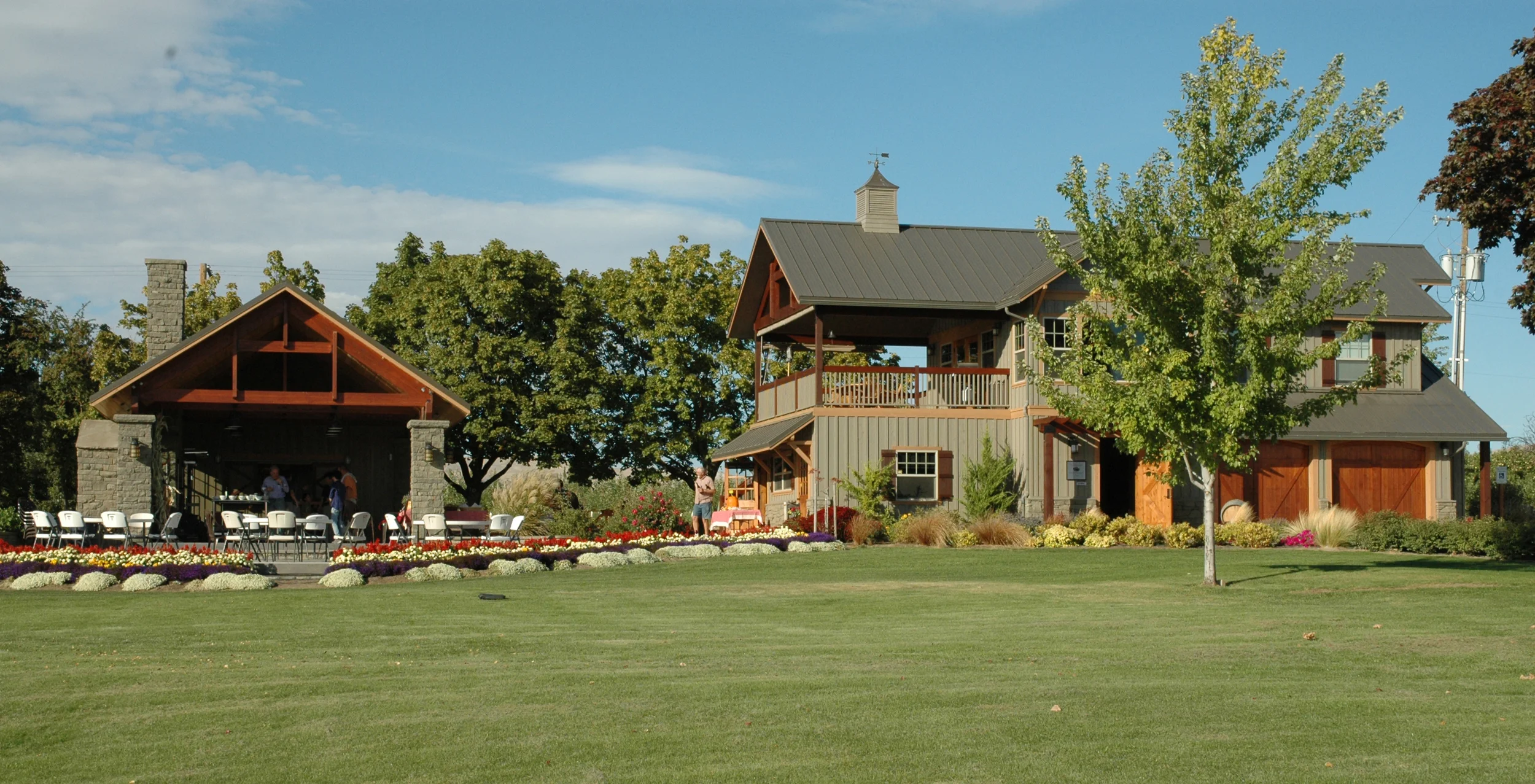 Dineen Vineyard a.jpg