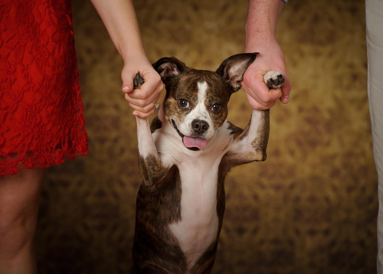 engagement_photography_lexington_ky03.jpg