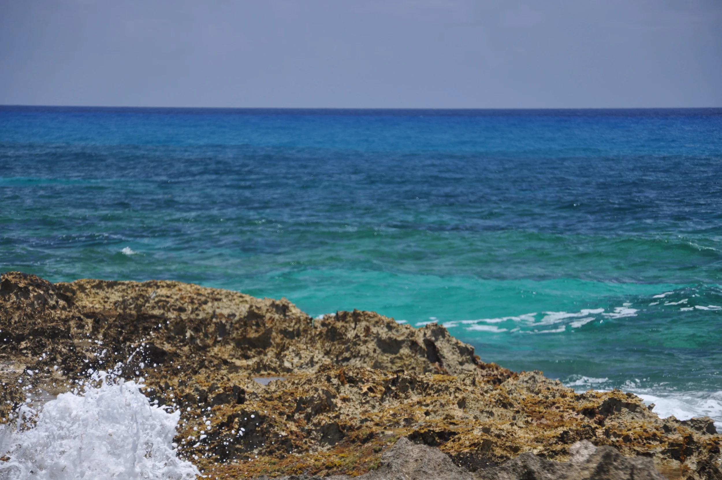 DSC_0632.JPG