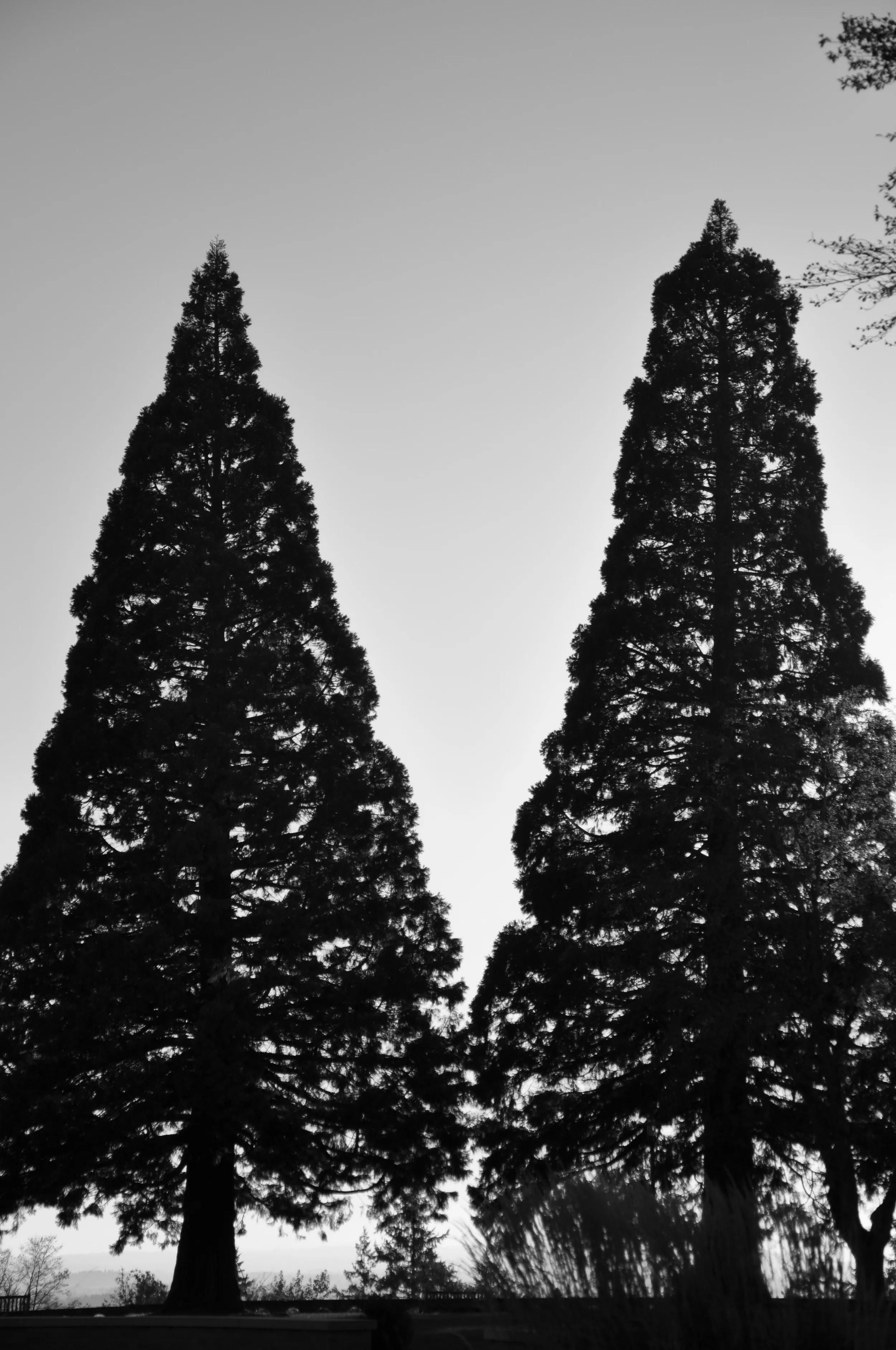 DSC_0063.JPG