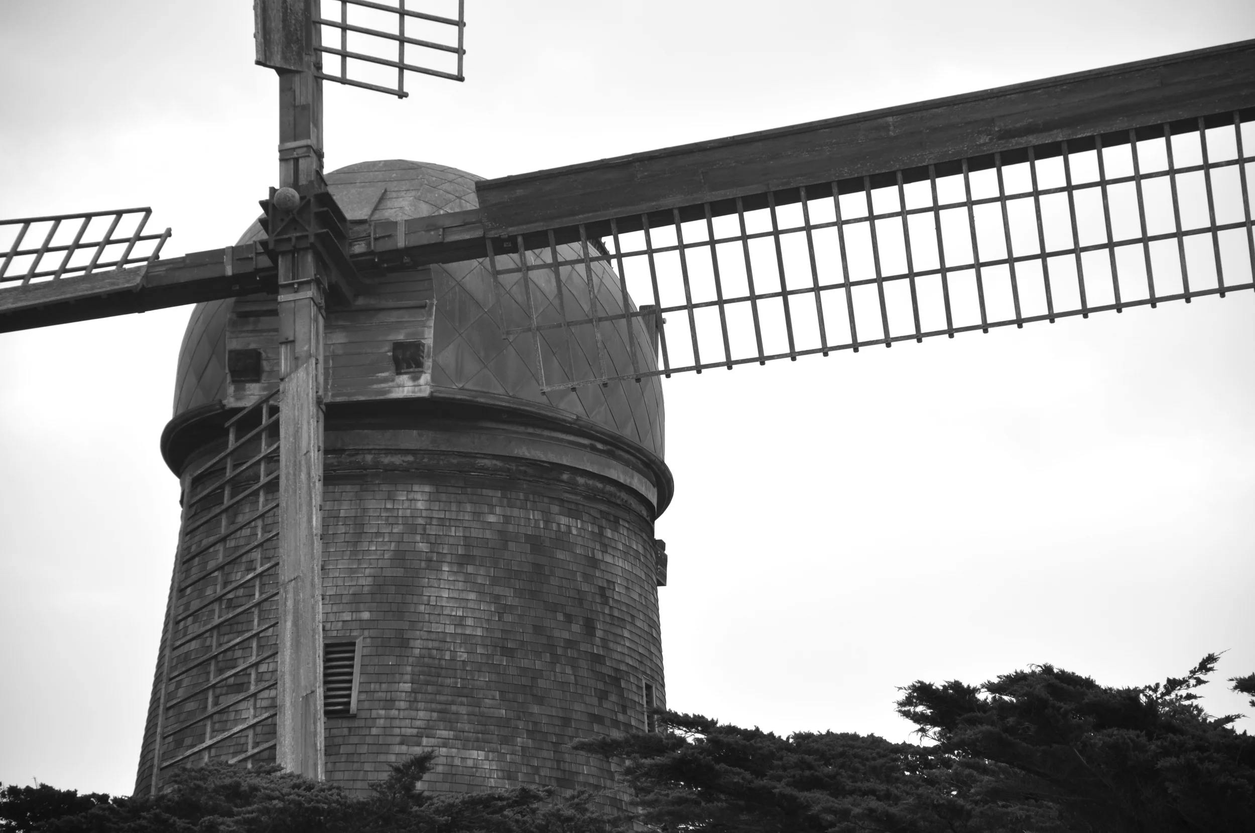 DSC_0856.JPG