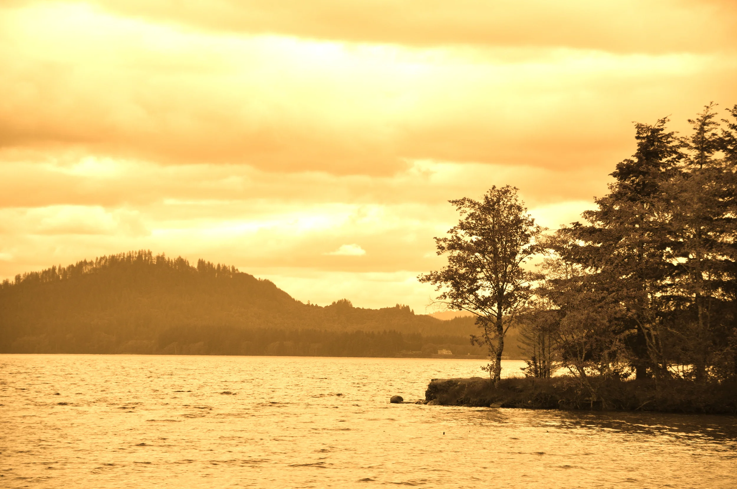 DSC_0155.JPG