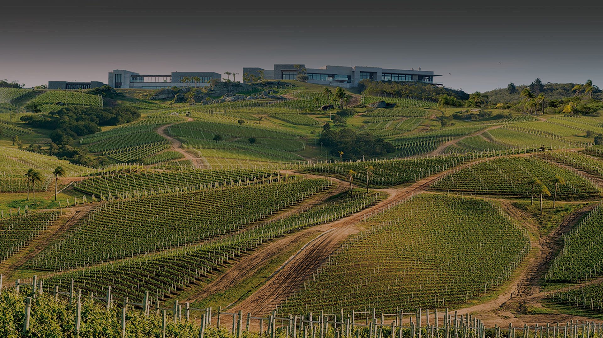Bodega Garzón, Uruguay