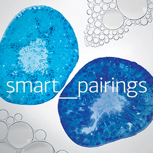 smartpair-pre.jpg