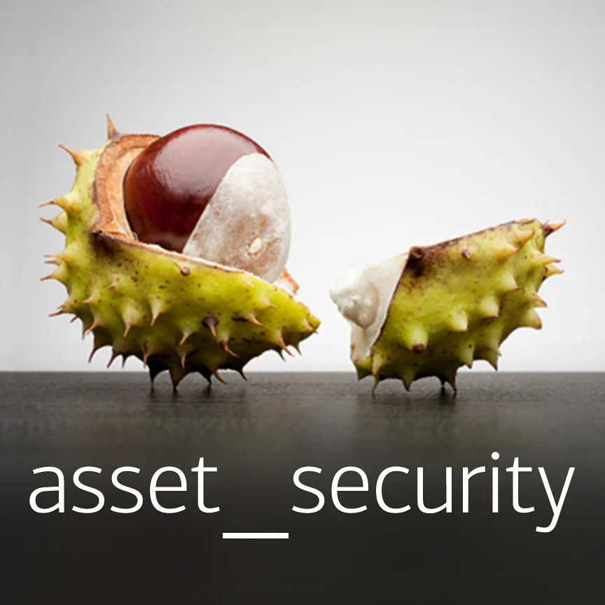 asset_security-pre.jpg