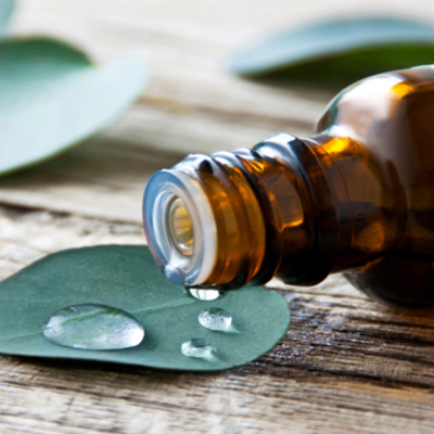 Eucalyptus oil and eucalyptus leaves