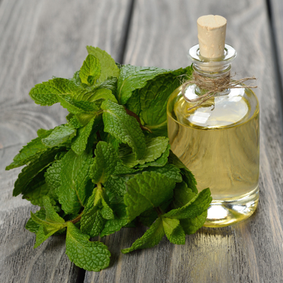 Peppermint essential oil