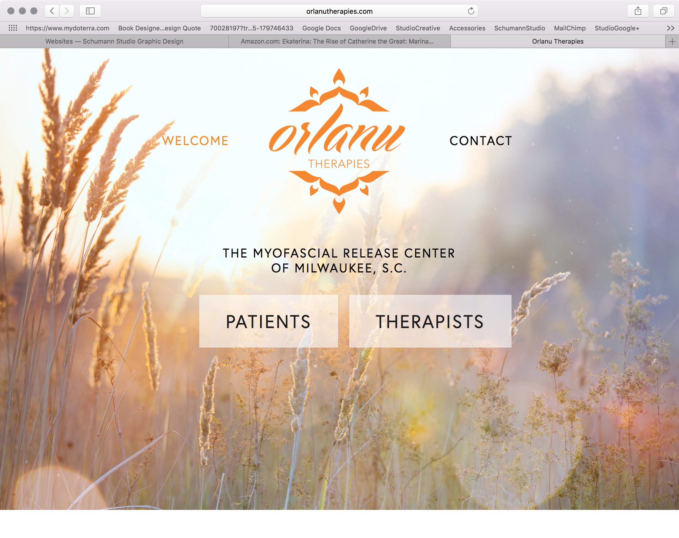 OrlanuTherapiesWebsiteCover.jpeg