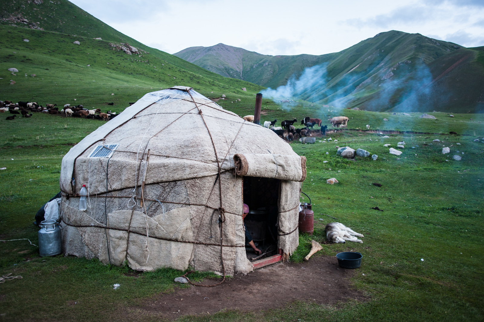 Yurt outside during the day. This photo is from a ecotourism trip with my colleagues from Europe and Asia (2012). All 8 of us stayed in this yurt overnight.