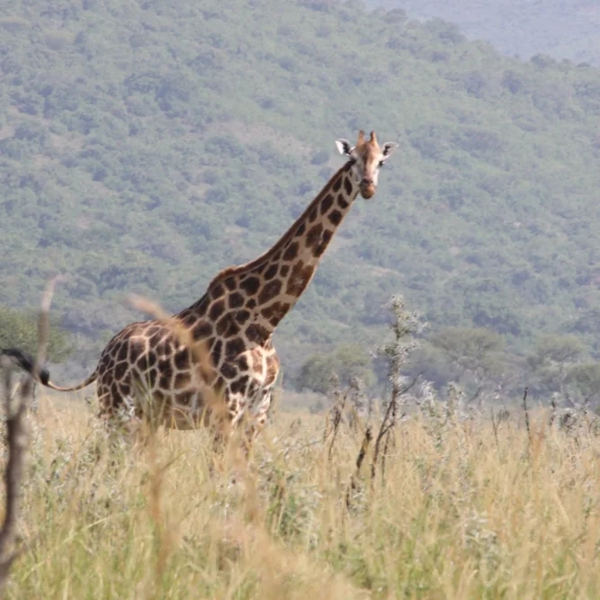 Sam's Place Garage Sale - Day 2