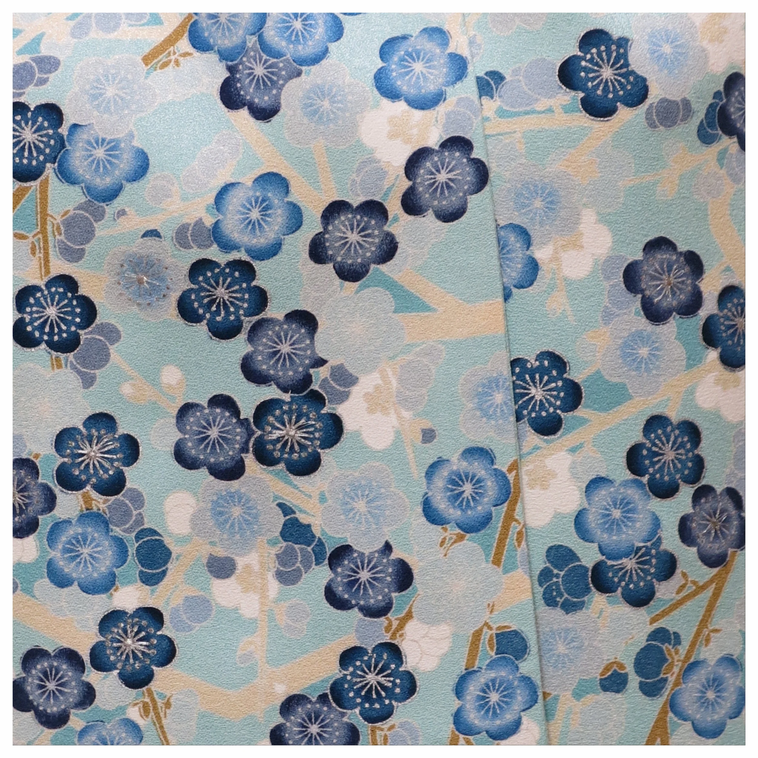 blueblossom2.jpg