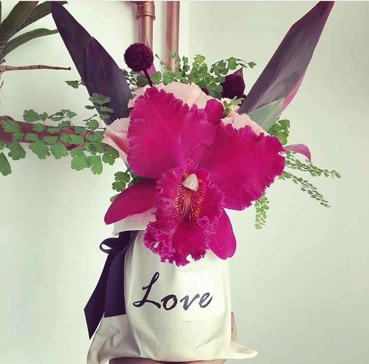 Lov and Inspire