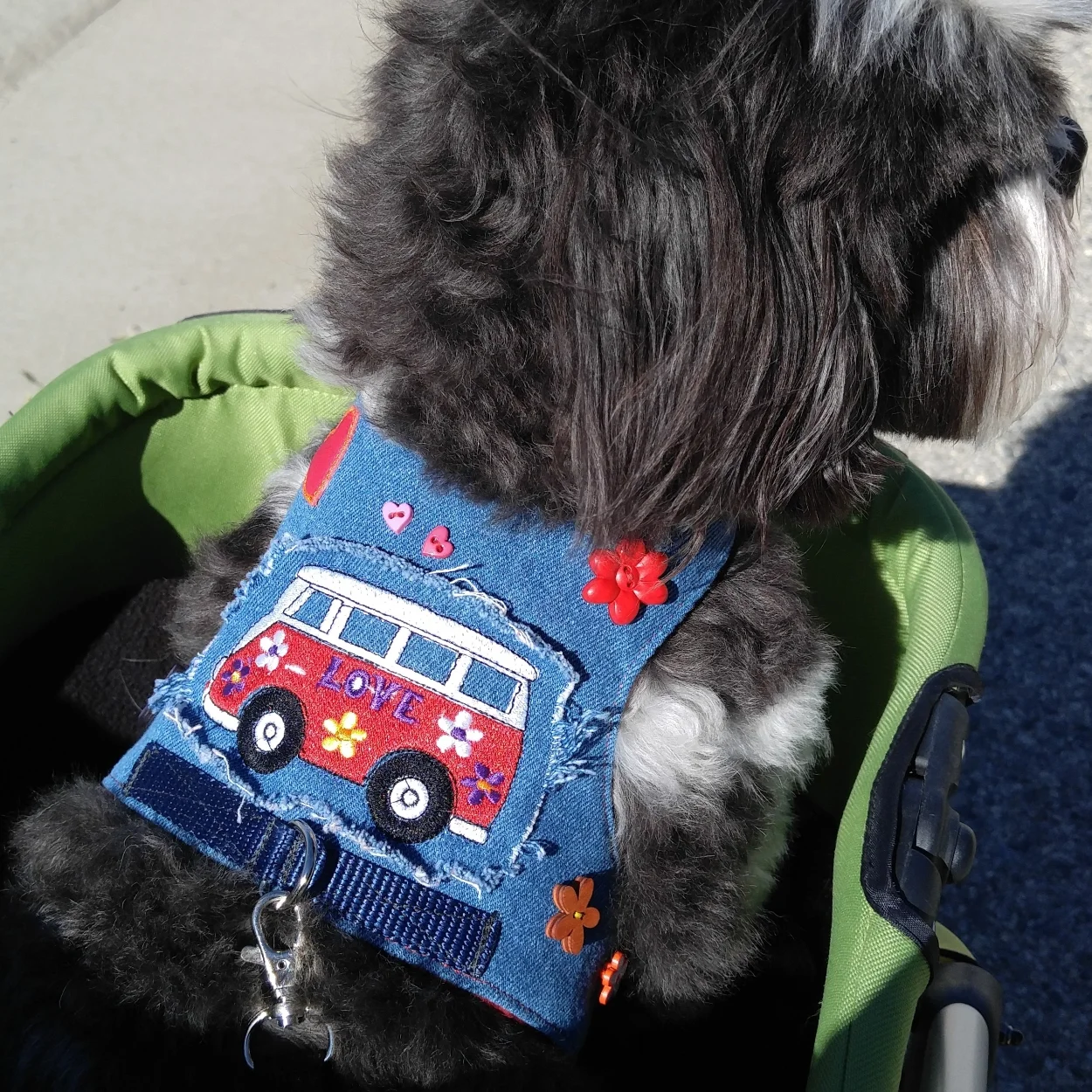 Ellay Dog