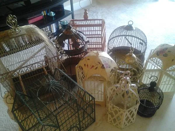 Lot of 10 Birdcages $100 - Spray paint these all the same color and they could be used for table decorations for an event, photo shoot, lighting or just fun decor in your home.