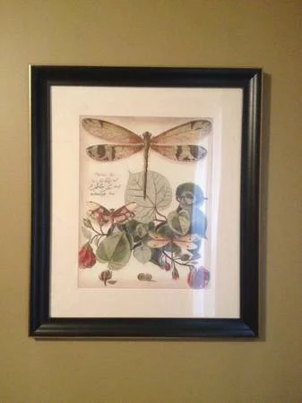 Ballard Designs Print $25