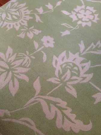 Green and White Rug 7'10" x 10'10" $225 - Would be really cute in a nursery, bedroom or playroom. 