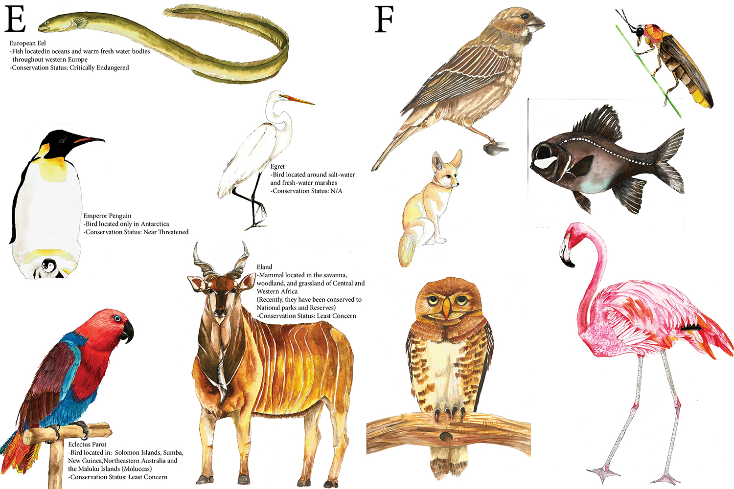 Wilson_Kuukua_9-ABC123 book_pg 6-7.jpg