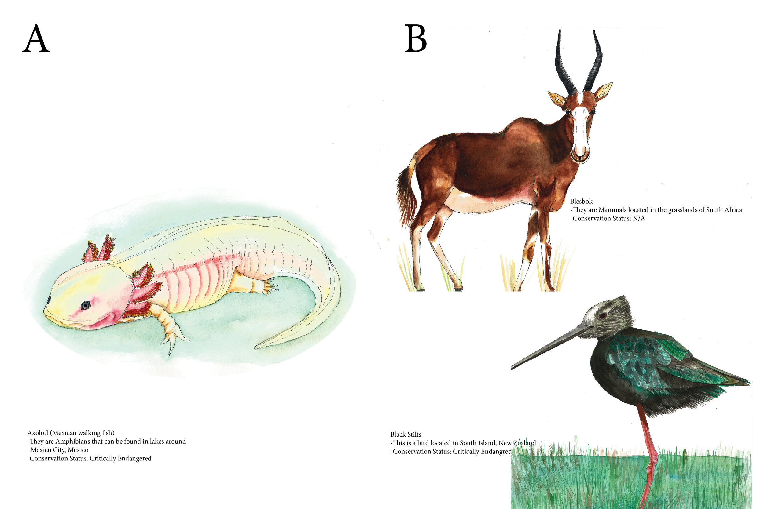 ABC-123 Book_2-3.jpg