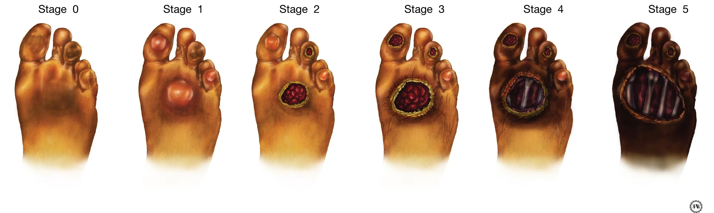 Full Layout_Kuukua.jpg