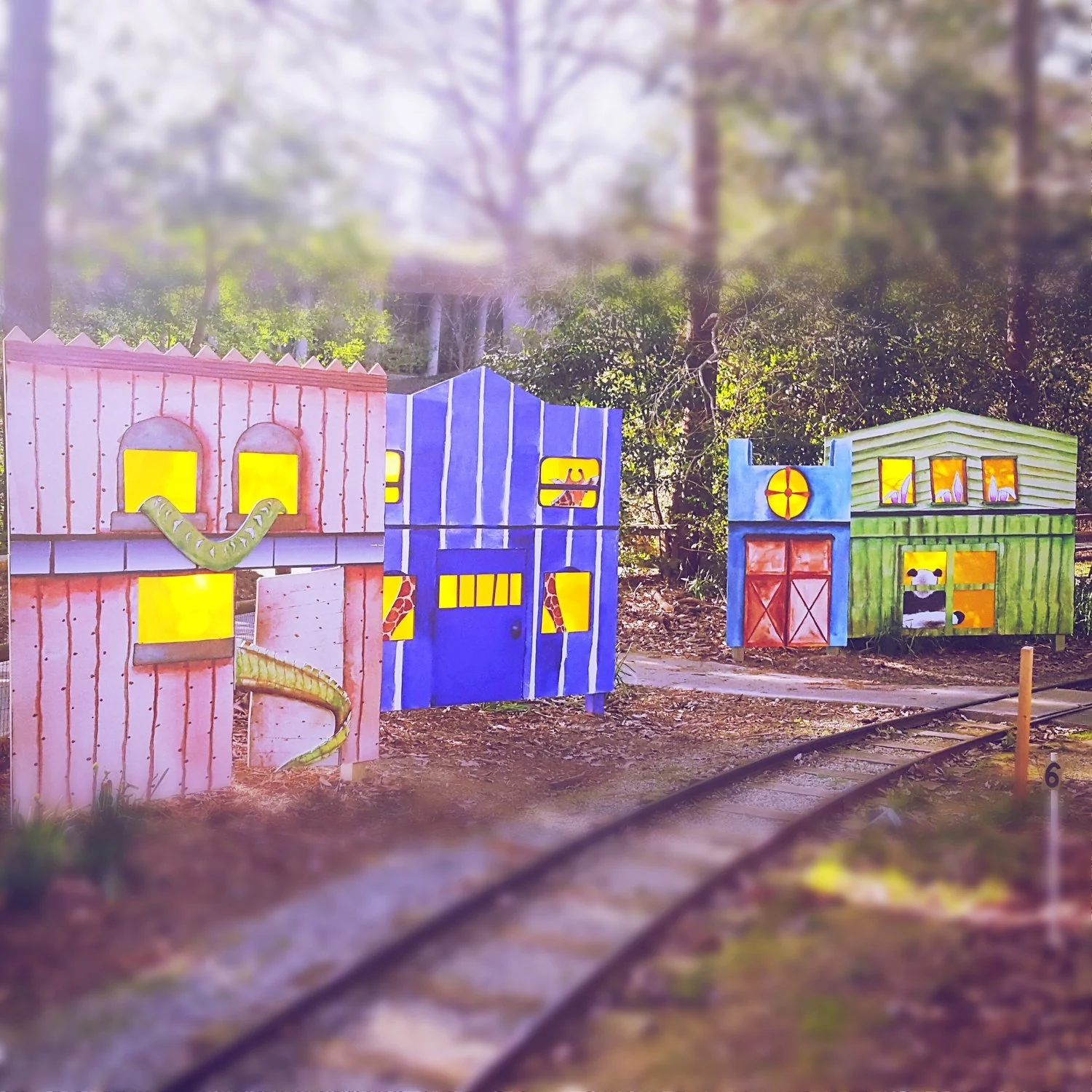 critter crossing.jpg