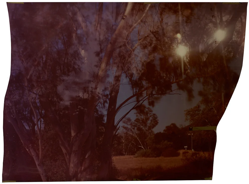 Mulholland: Cornell: Strauss , from the Los Angeles Project, 2012