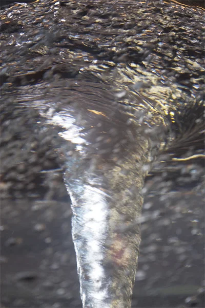 Untitled , from the series 4% , 2012 Archival pigment print mounted on aluminum