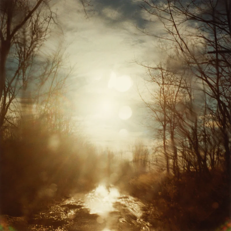 Todd Hido, Untitled, #10282-a , From Excerpts From Silver Meadows , 2011