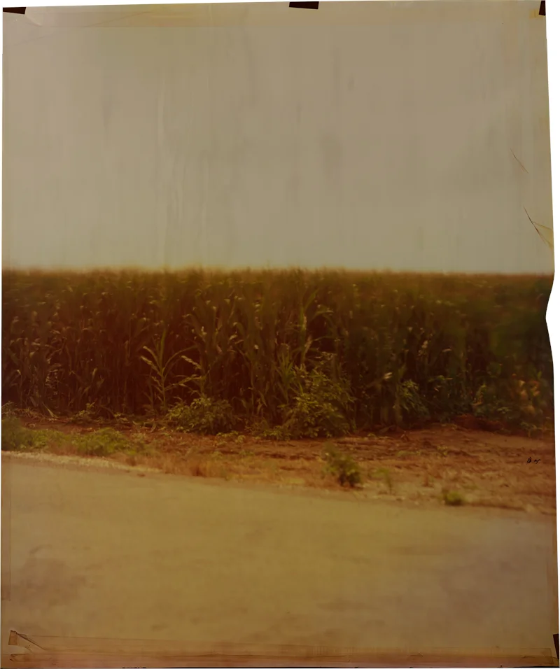 Old River Road at Carter , 2014 Image on Ilfochrome paper, unique photograph 34 x 28 inches