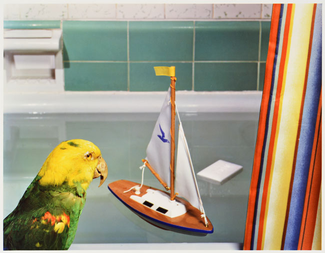 JAC-Parrot-and-boat.jpg