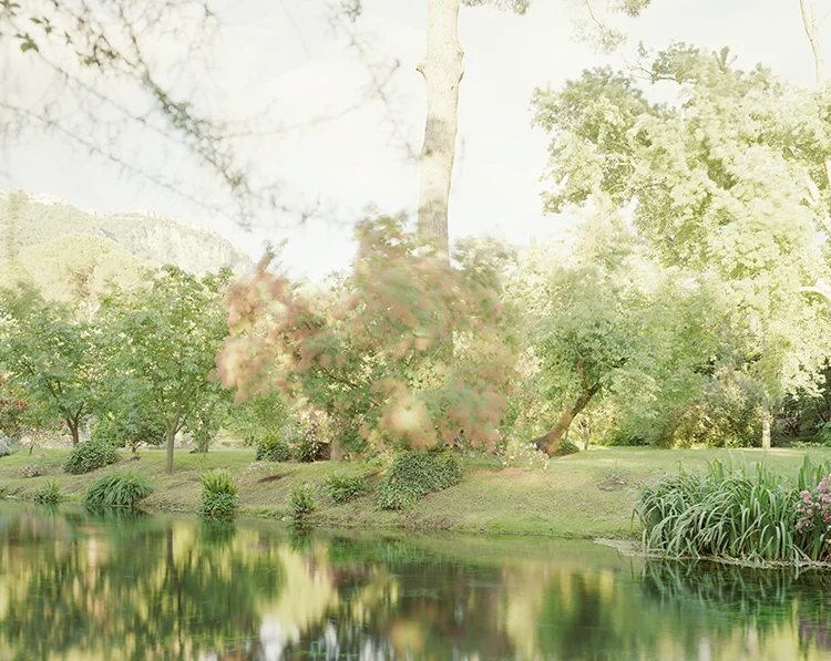 Ninfa (Thyia) , 2013
