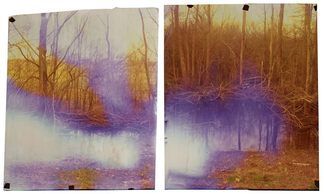  (L) John Chiara, "Highway 1 at Moon Lake, Left," 2014 Image on Ilfochrome paper, unique photograph, 34 x 28 inches (R) John Chiara, "Highway 1 at Moon Lake, Right," 2014 Image on Ilfochrome paper, unique photograph, 34 x 28 inches Courtesy of ROSEGALLERY