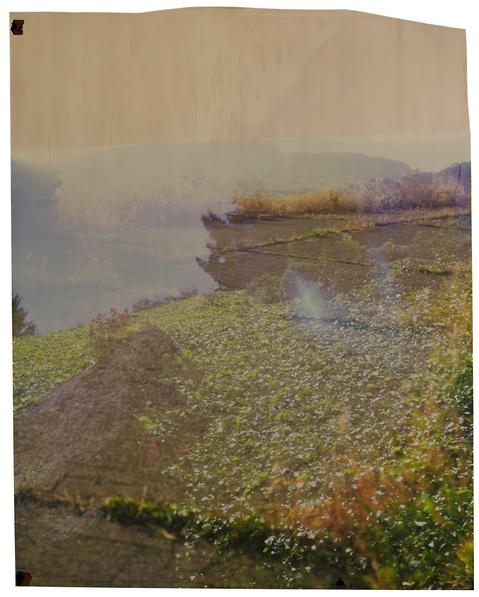  John Chiara, Starr King: 30th: Coral, 2013, Dye destruction photograph on Ilfochrome paper (33 x 28 in.) 