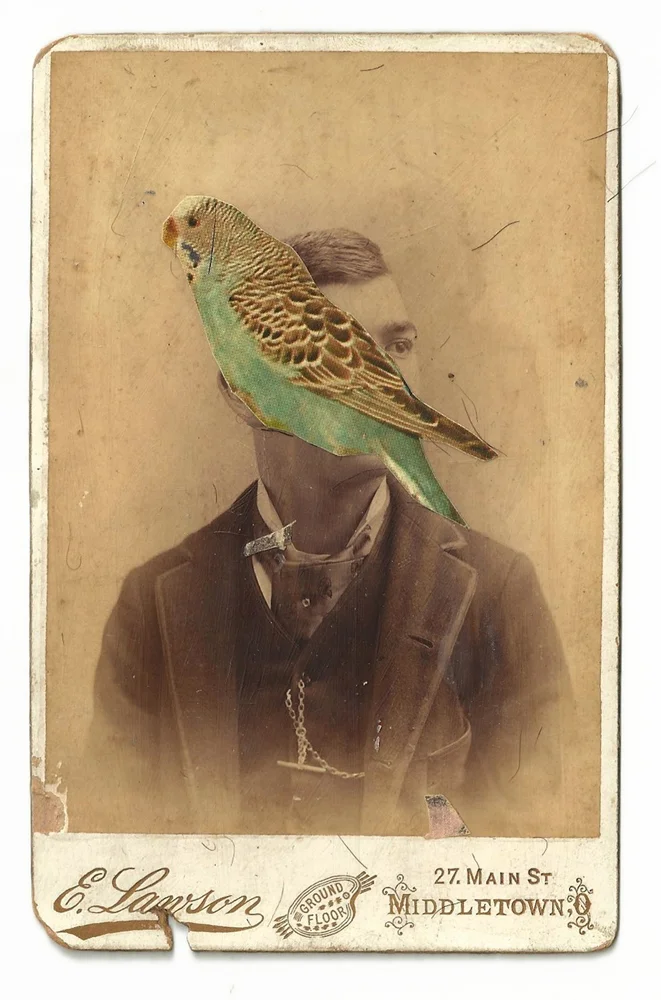 James Gallagher Middletown , 2014 3 x 5 inch unique photo collage