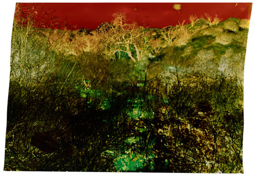 Sierra at Edison , 2012, from "Los Angeles Project," John Chiara, chromogenic photograph on Kodak Professional Endura Metallic paper.