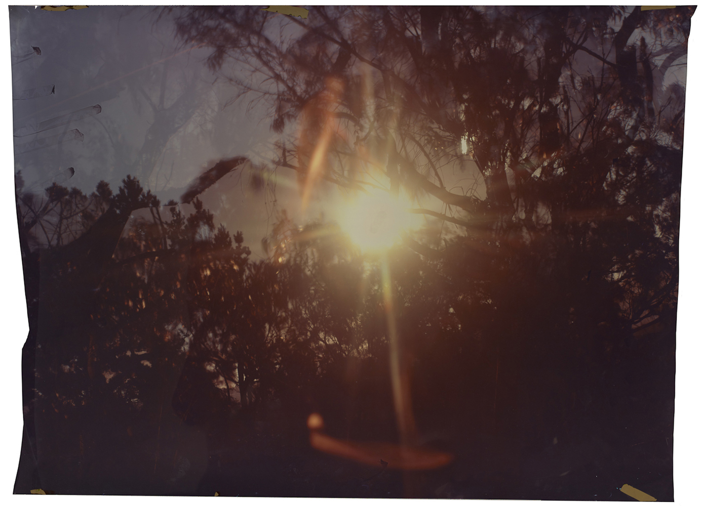 All images © John Chiara