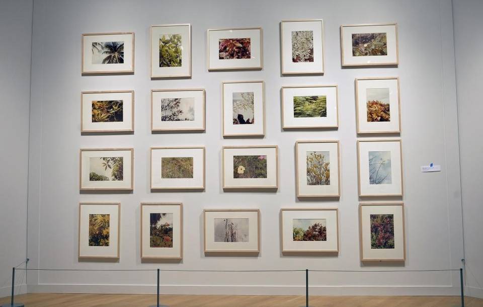 A wall of Eggleston in “Here & Now: 80 Years of Photography.” Photo by T. Ortega Gaines