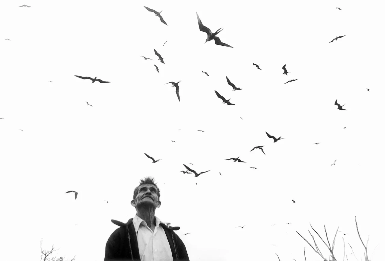 Graciela Iturbide Señor de los Pájaros , Nayarit, Mexico, 1984 16 x 20 inch Silver Gelatin Print