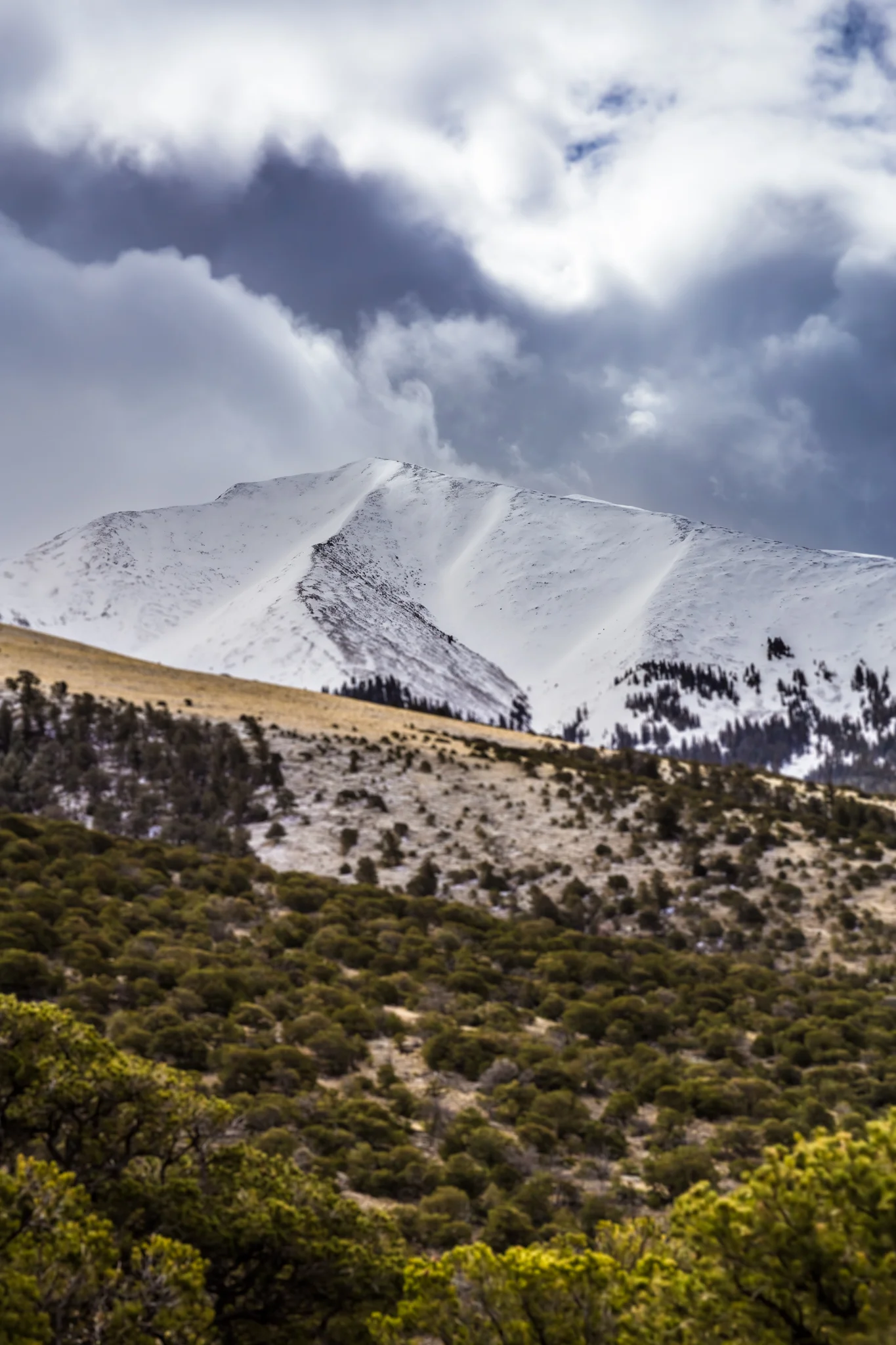2015Camping-8.jpg