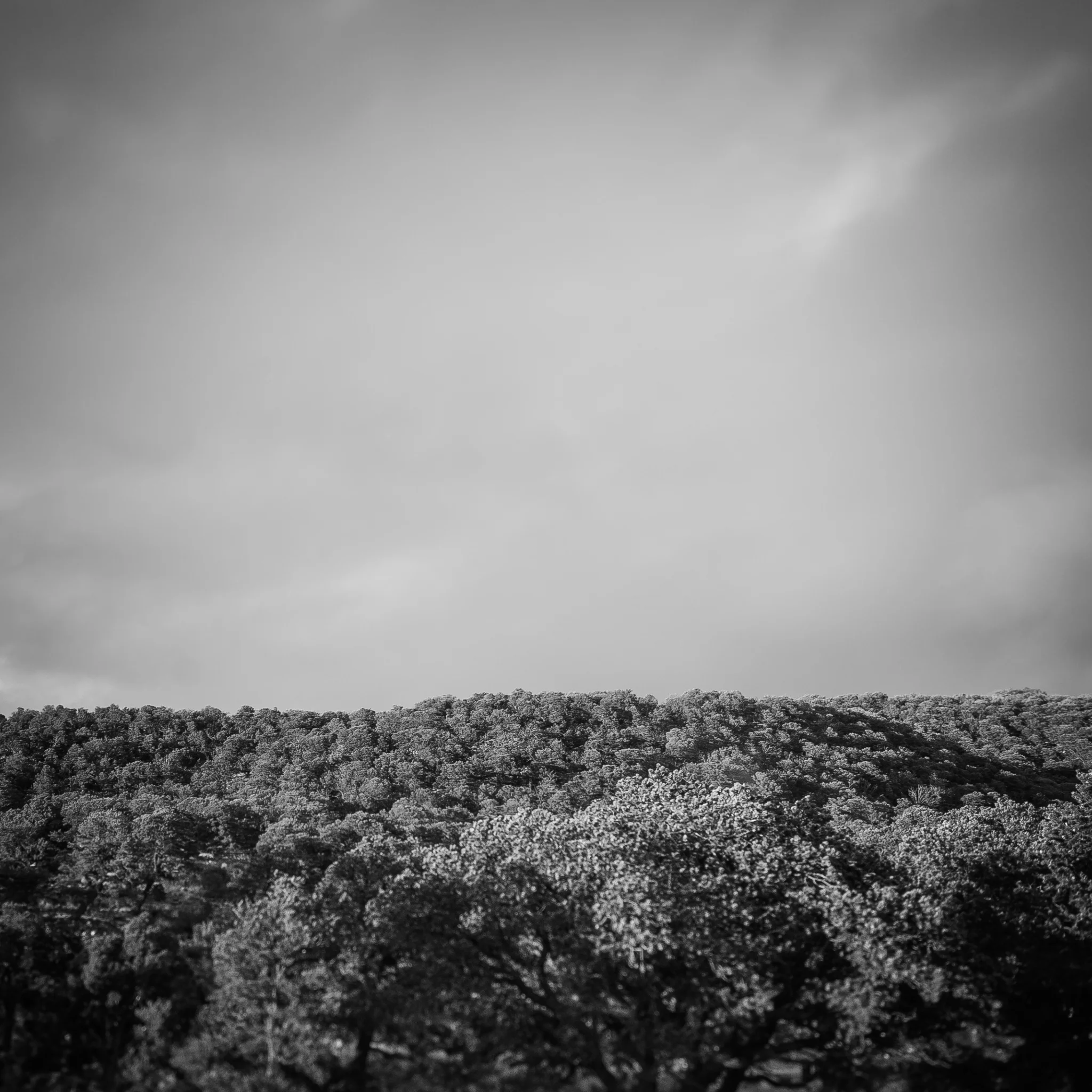 2015Camping-11.jpg