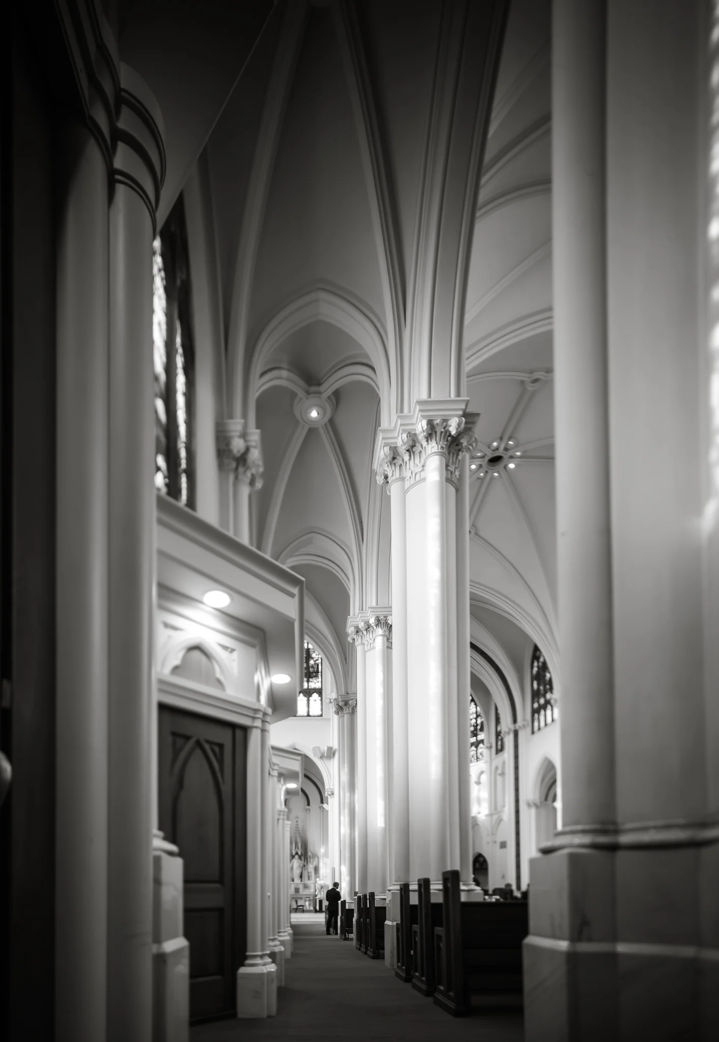 Cathedral Basilica of the Immaculate Conception