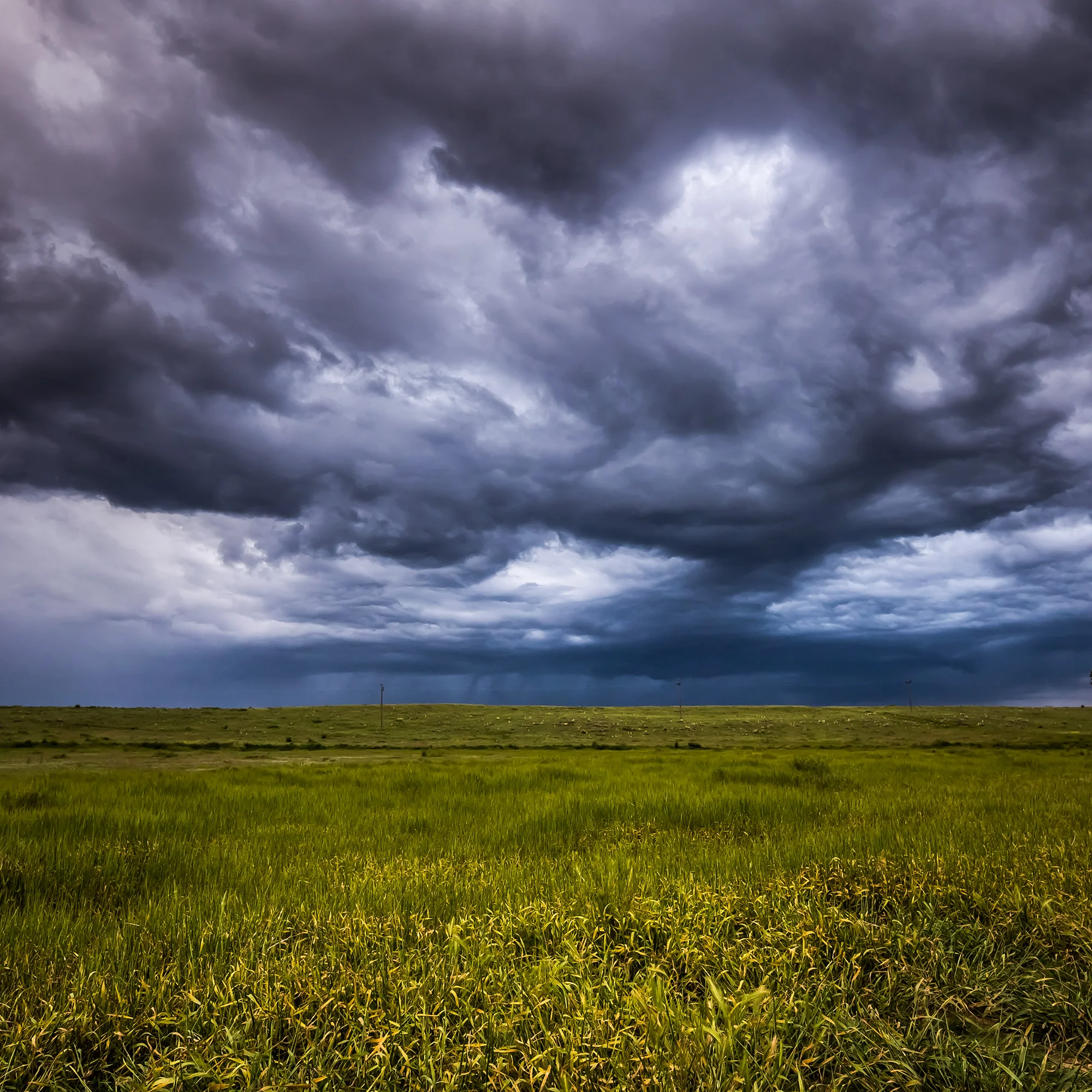 Dog Park Sky - 12x12 print in a 16x16 mat Taken on June 13, 2015 at Westminster Hills Dog Park. People can play here too. First shown at the Denver Art Society - November 2016 First Friday.