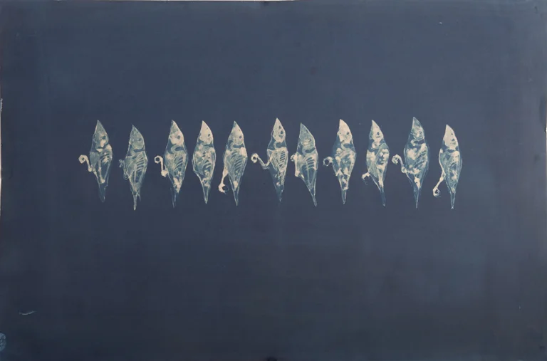 The Finches