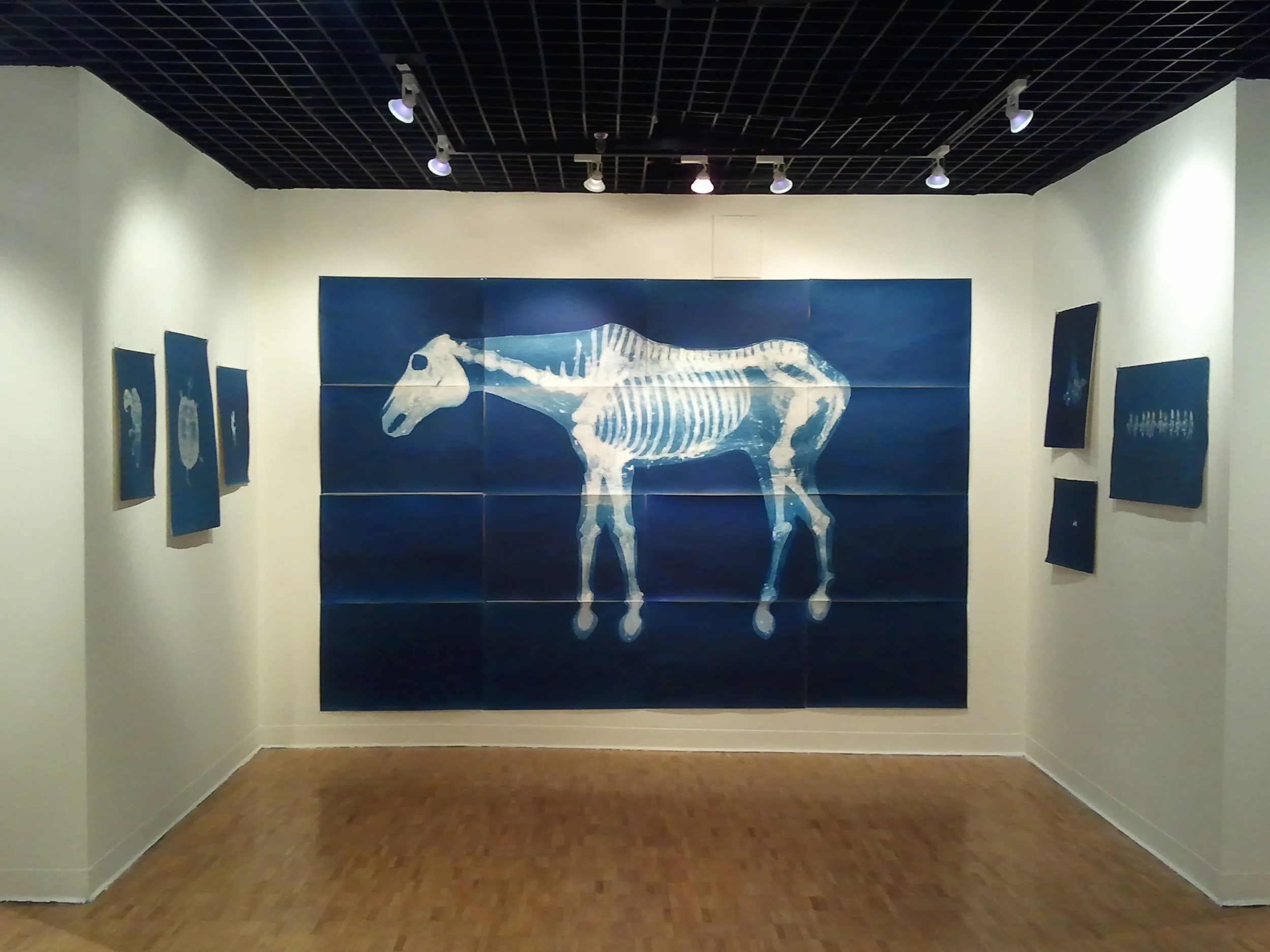 2011-04-16 19.44.23.jpg