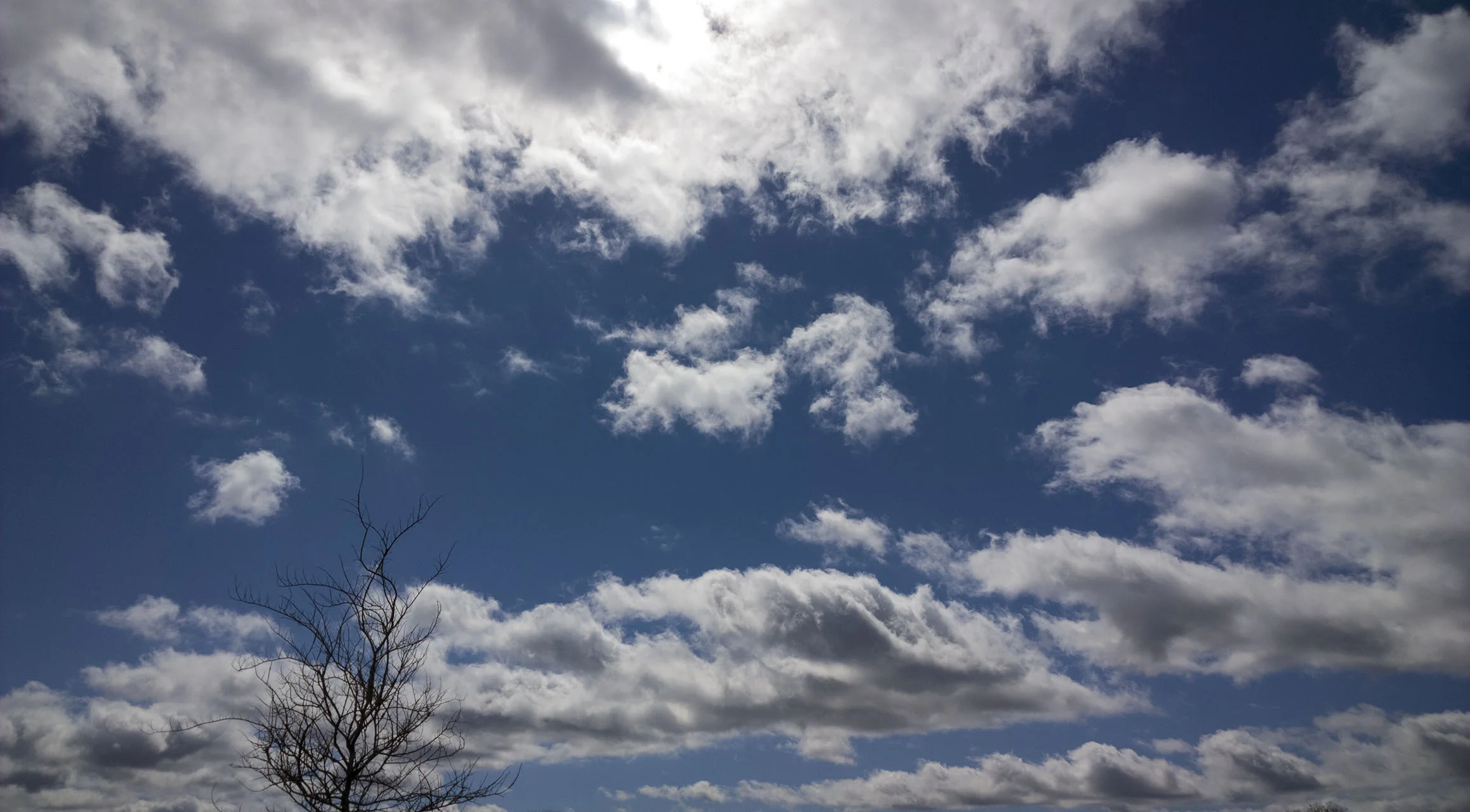 Texas 2/23/16