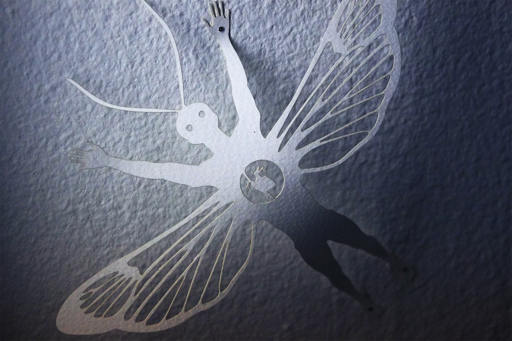 detail1.jpg